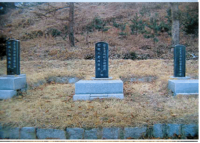 6295dbb2aece9d327345c4de95a4a18b_1775709095_1217.gif