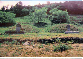 6295dbb2aece9d327345c4de95a4a18b_1775709198_7154.gif