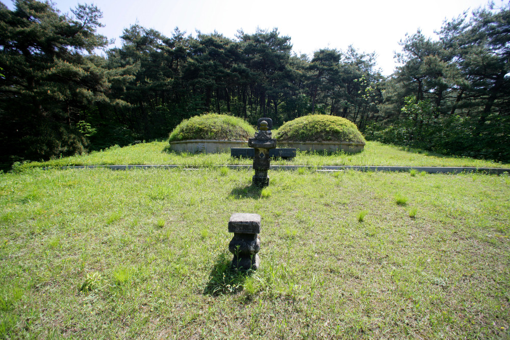 fe89aa9795c90a617dc32bcdc6efb556_1779178575_1474.jpg