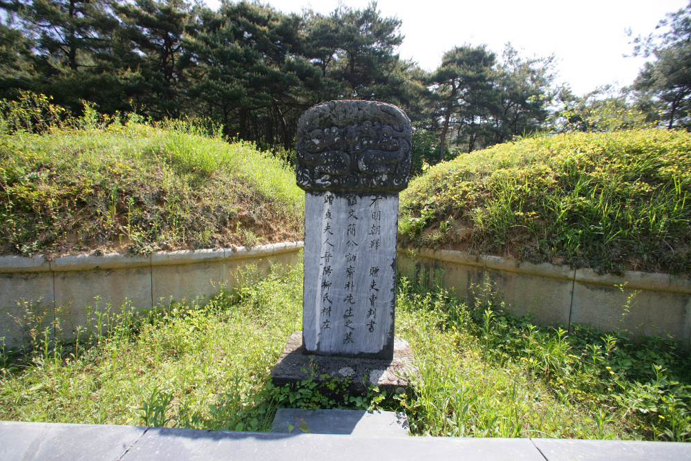 fe89aa9795c90a617dc32bcdc6efb556_1779178582_7769.jpg