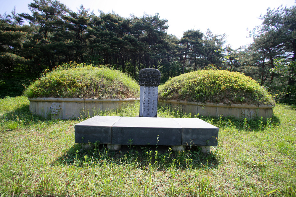 fe89aa9795c90a617dc32bcdc6efb556_1779178588_8985.jpg